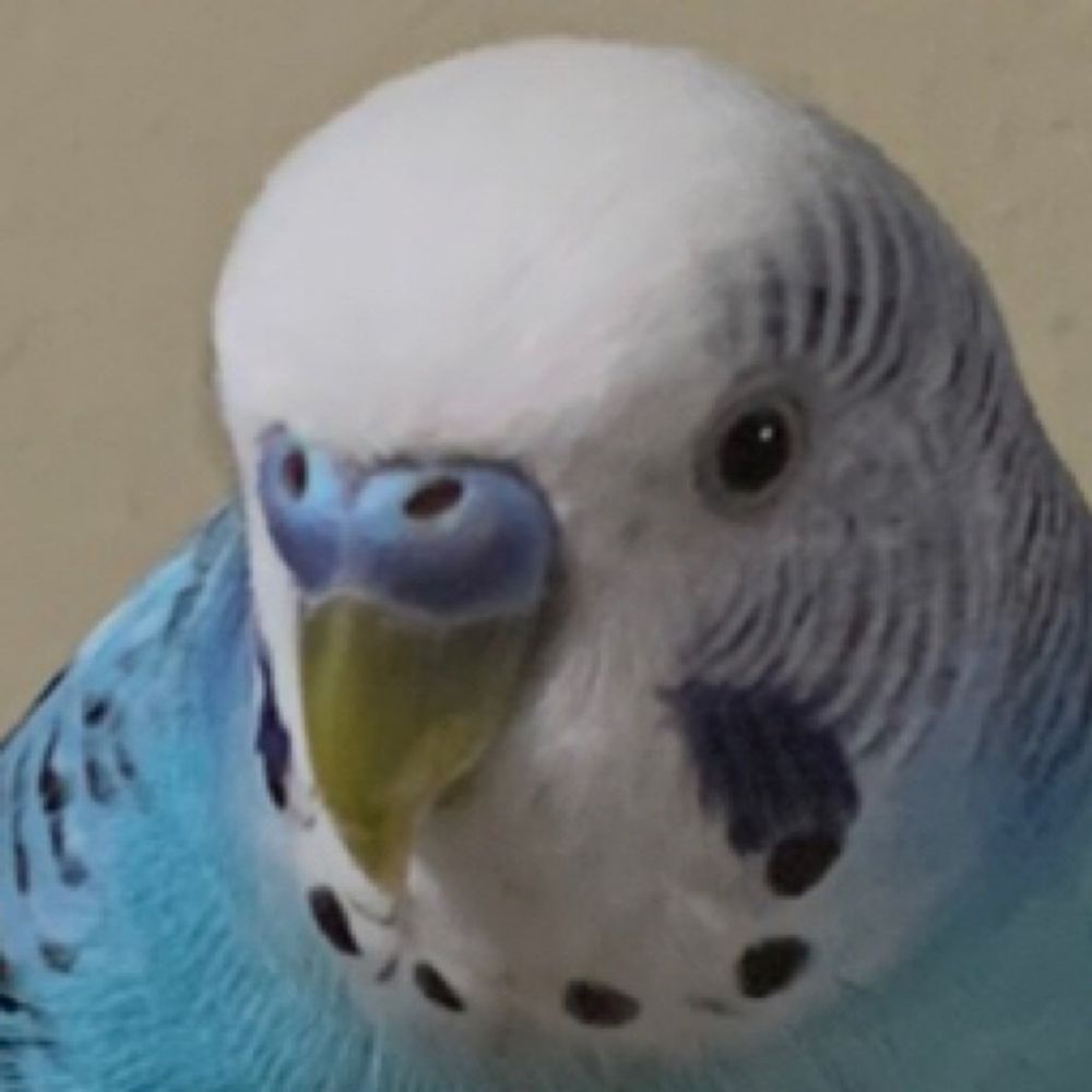 めき