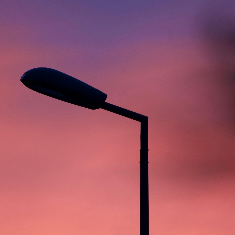 Startling Dusk