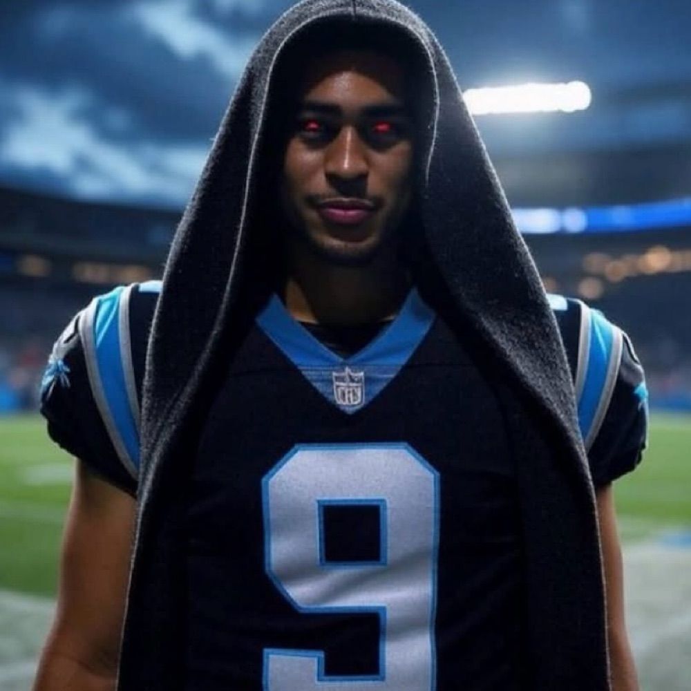 All about the Panthers