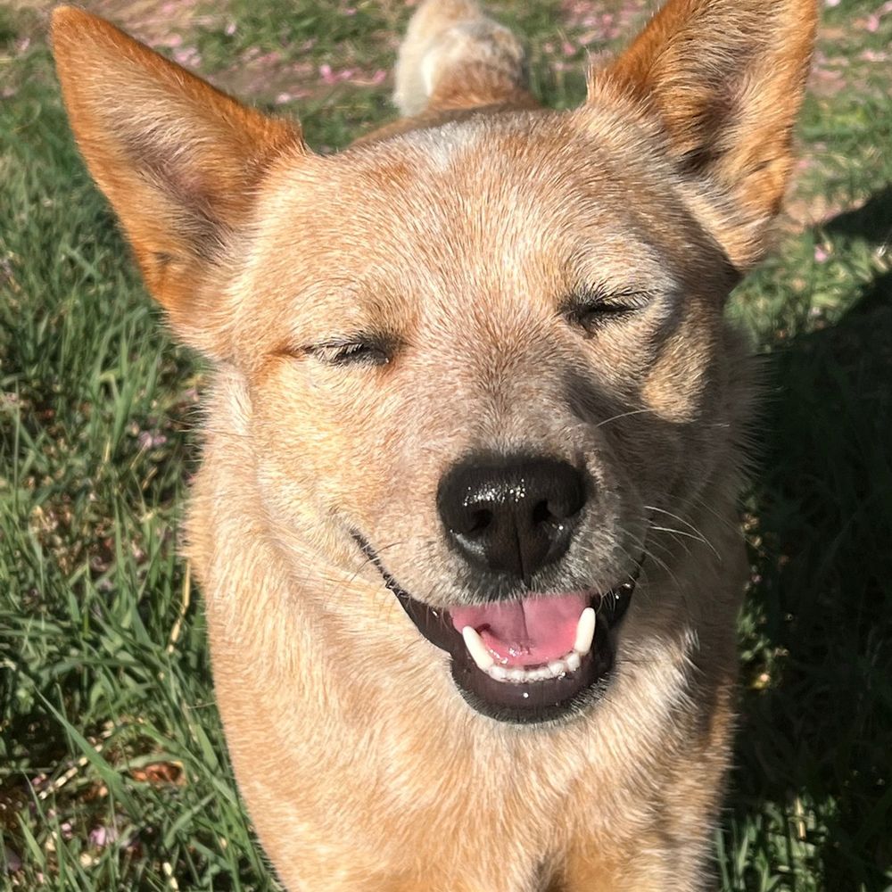 ritingon.bsky.social