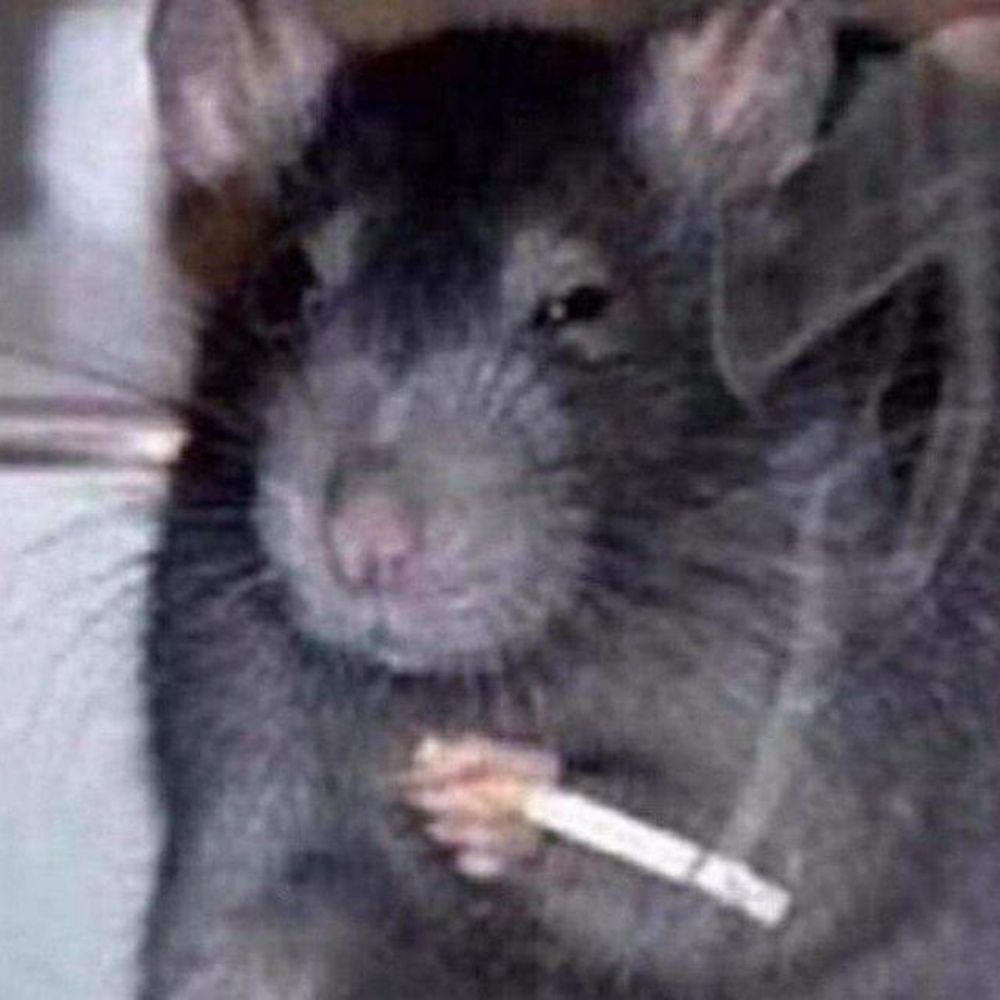 Rato Fumante