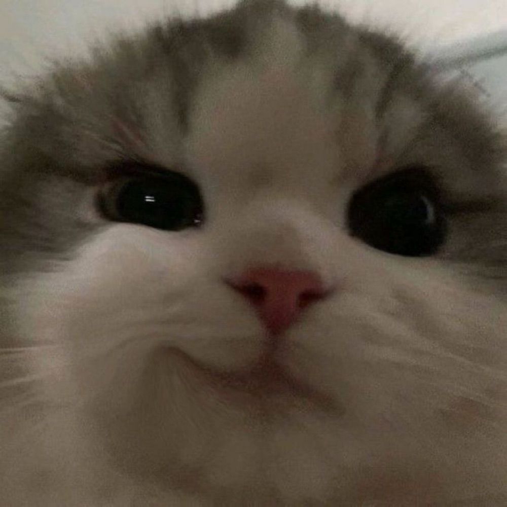 현지