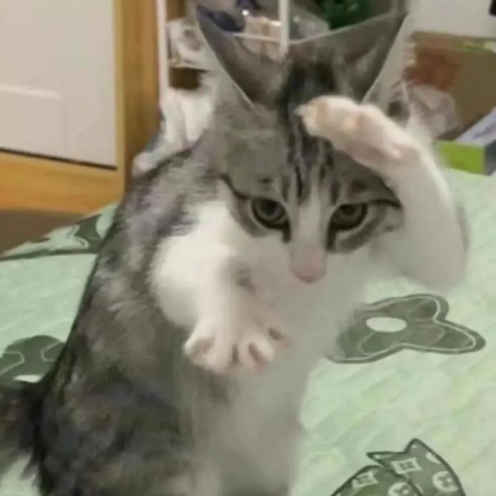 햄실