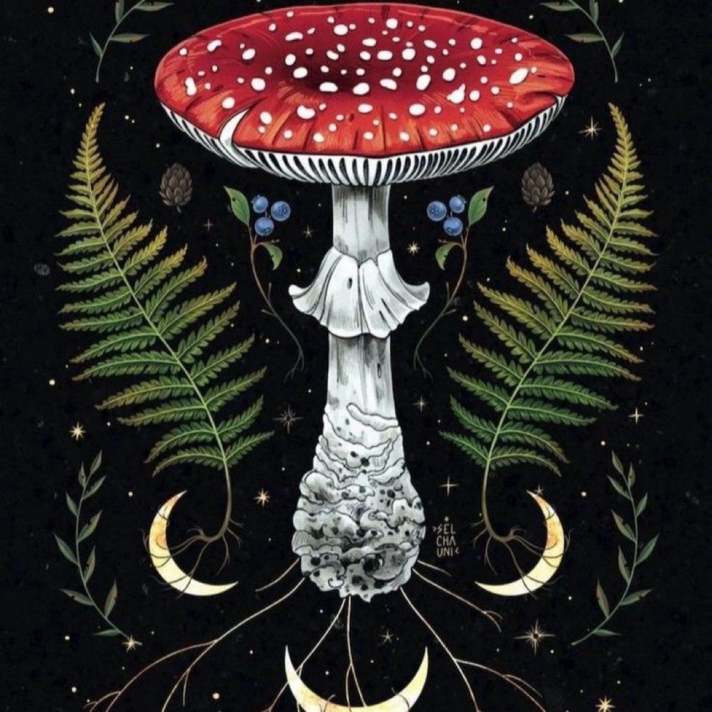 August 🍄
