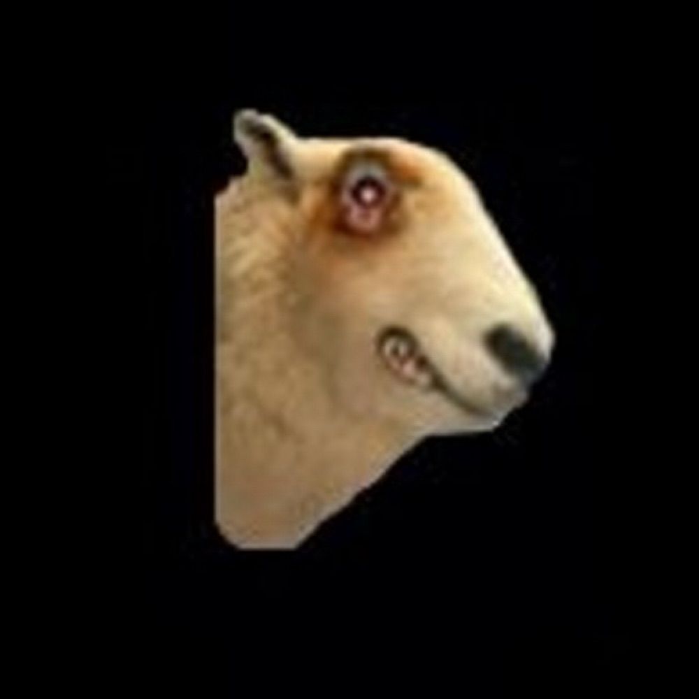SheepB0T