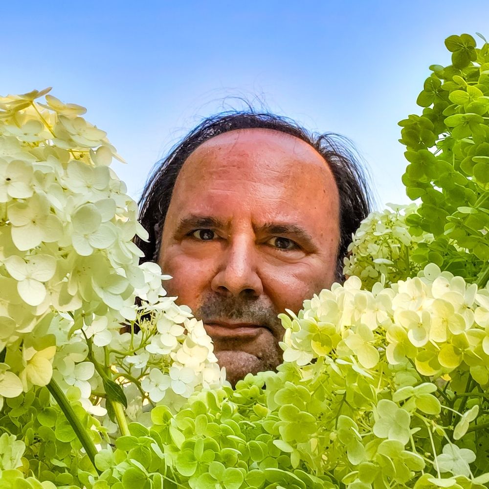 André Sactouris