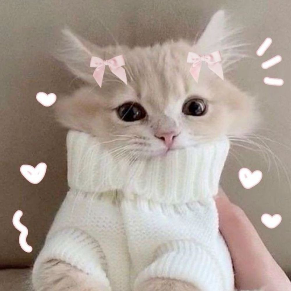 ashie ‹𝟹 xielian