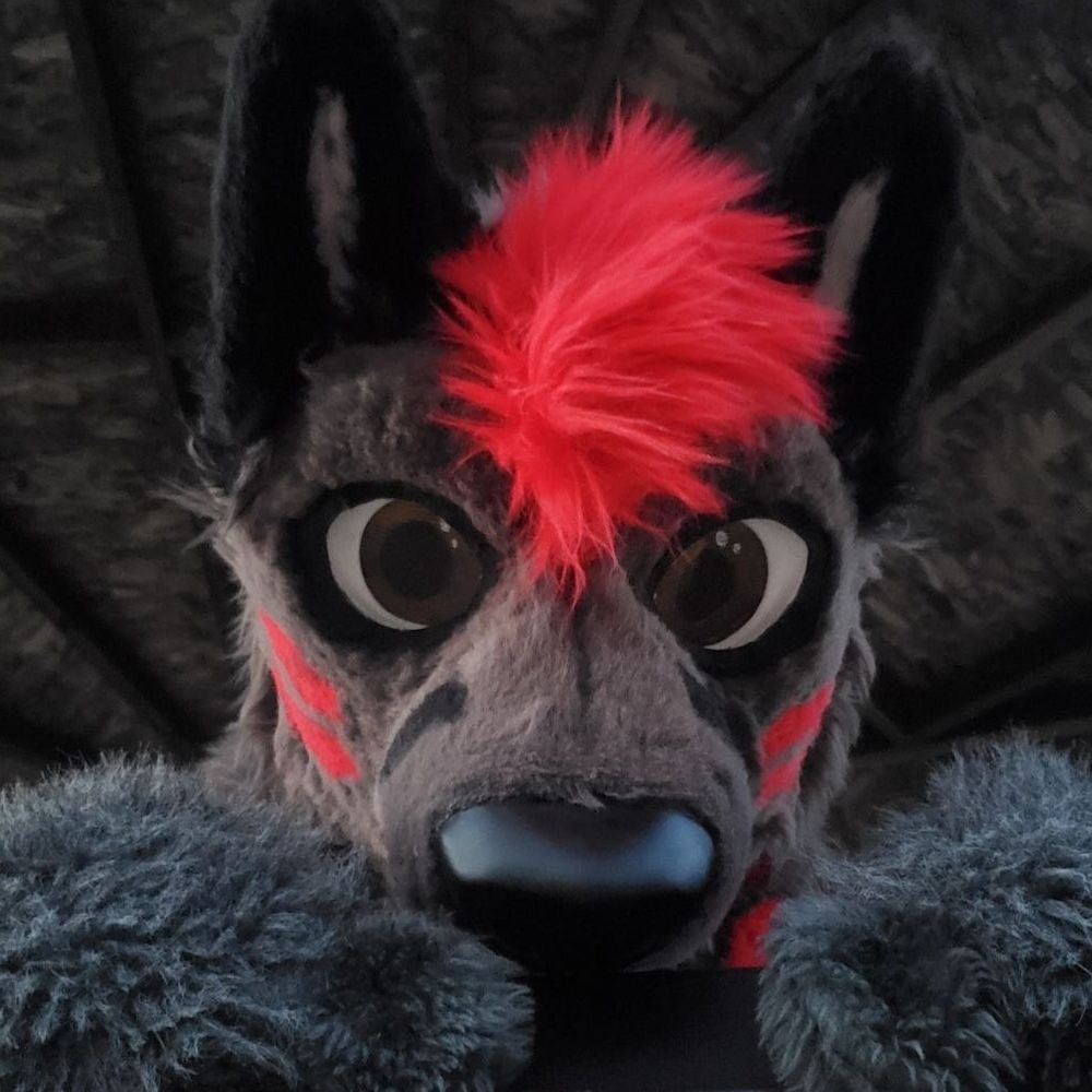 ApolloFolf🔜MFF