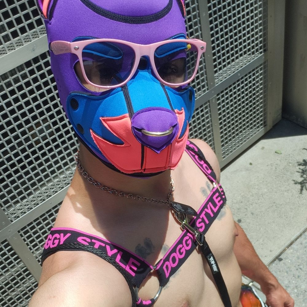 horndog with a blog