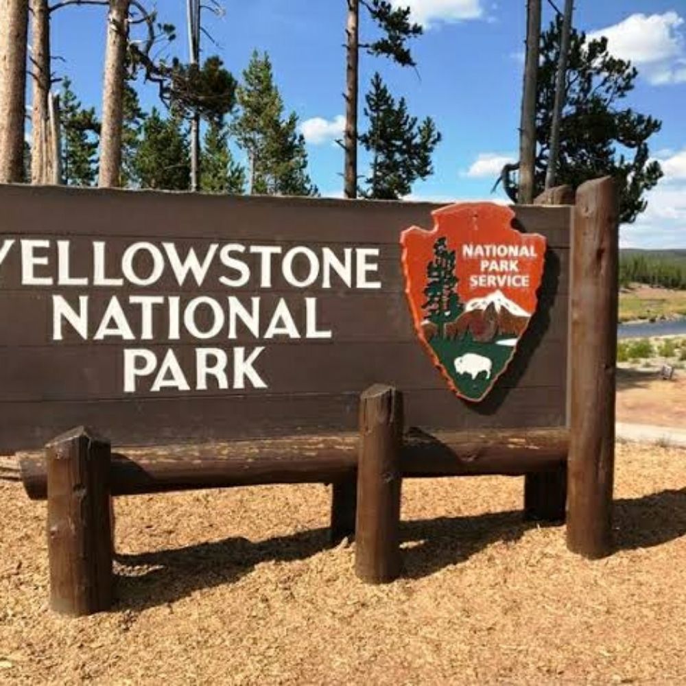 Profile picture yellowstone101.bsky.social