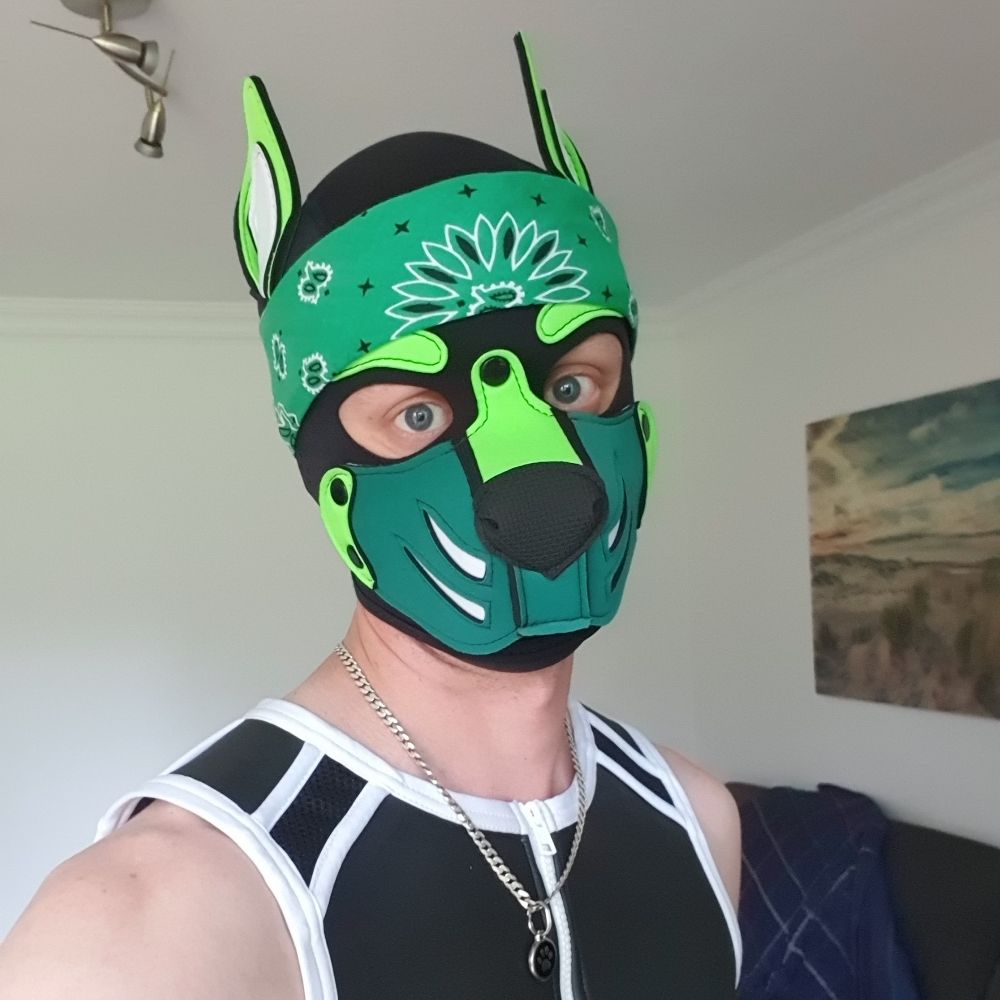 Pup Mojo