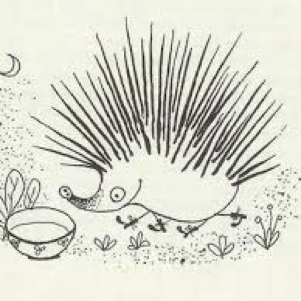 Pigge Lunk