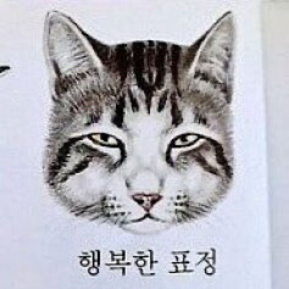 정