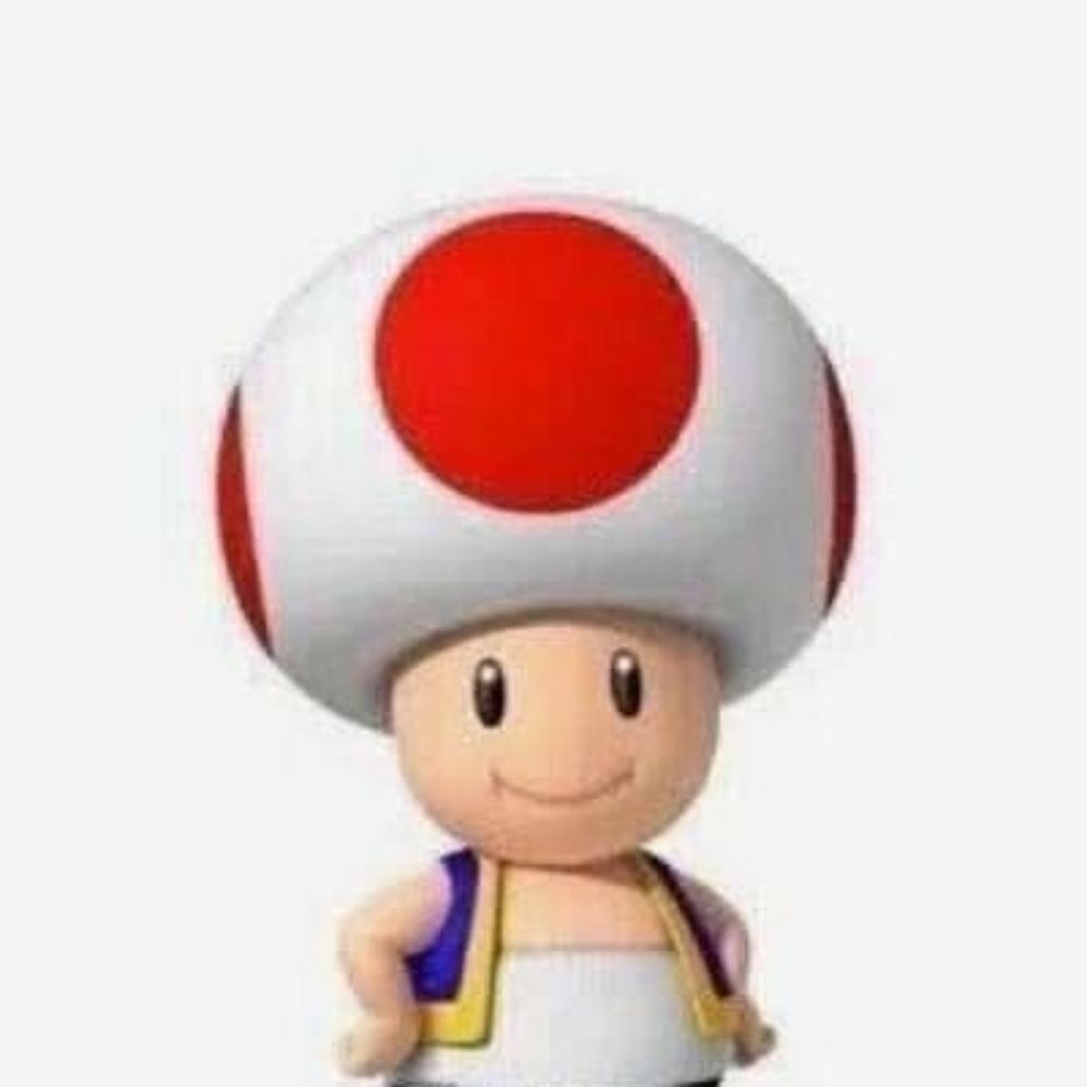 🍄꼬마버섯🍄