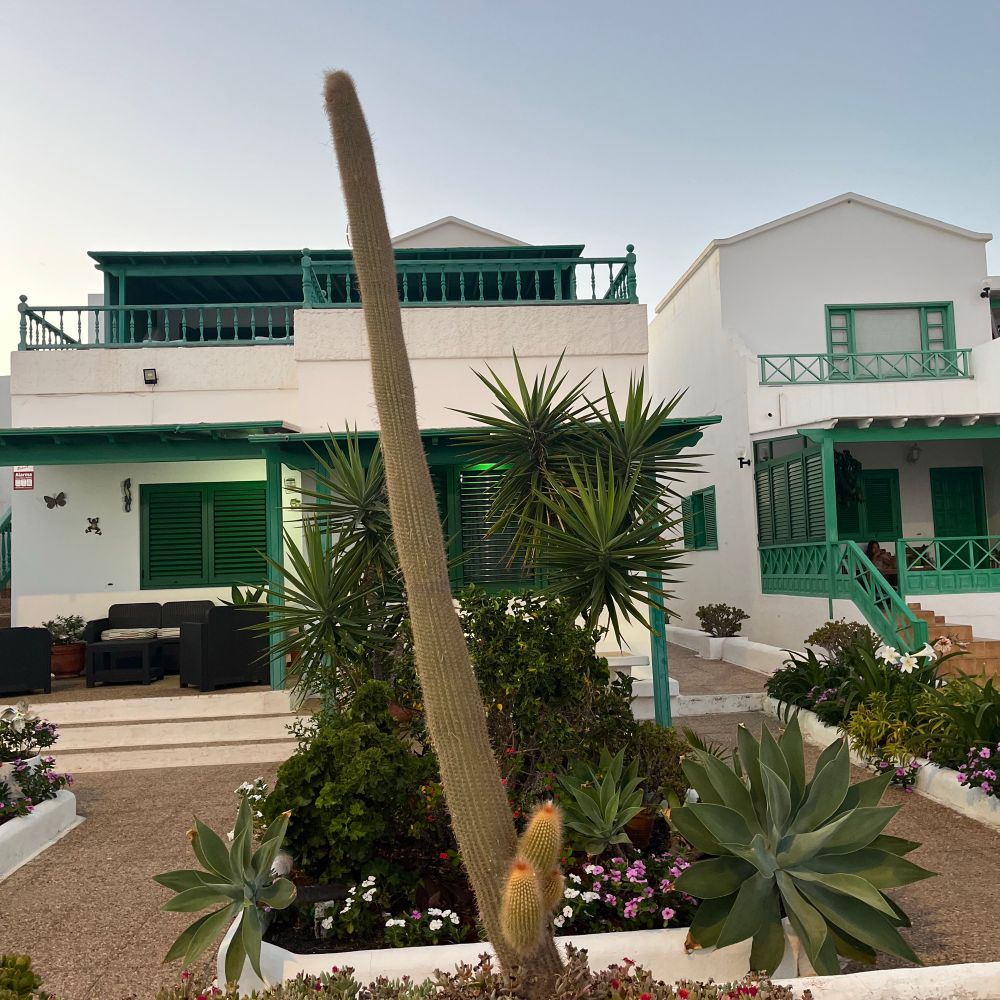 BrianLanzarote
