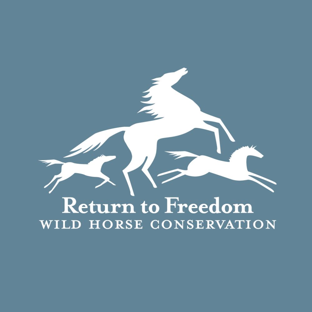 Return to Freedom