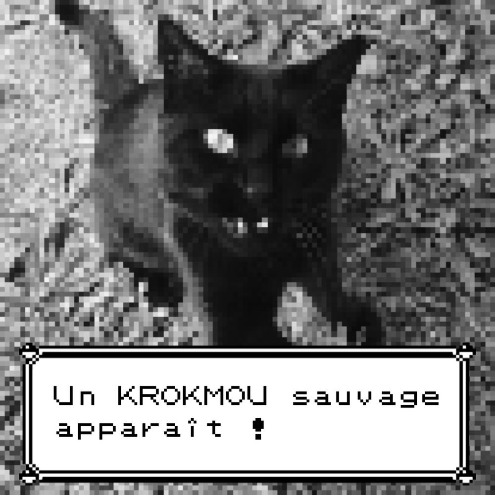 KrokMou