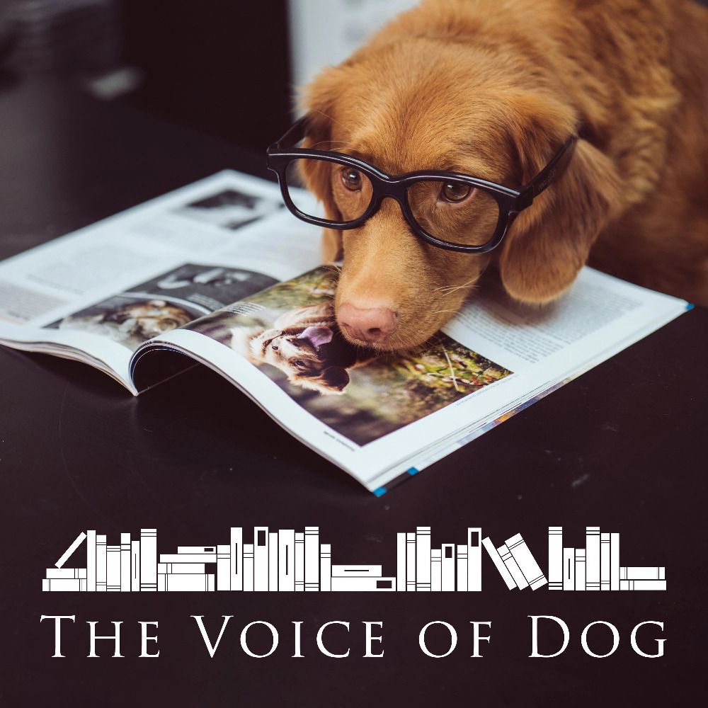 The Voice of Dog Podcast's avatar
