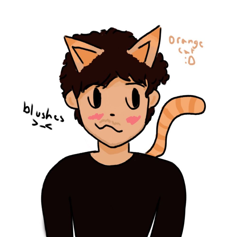 drew chan :3
