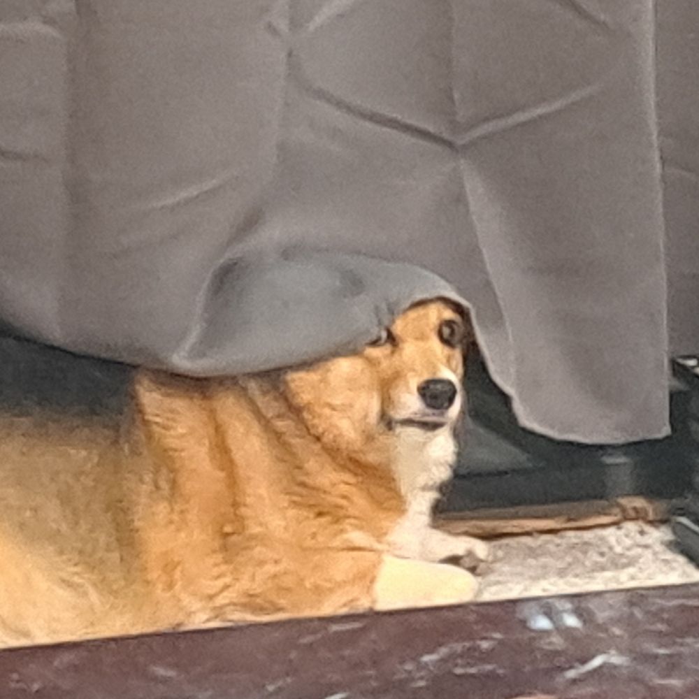 Breadbutt