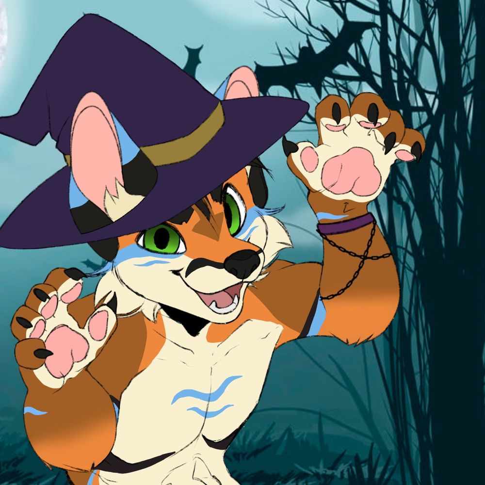 Swifty_The_Fox27