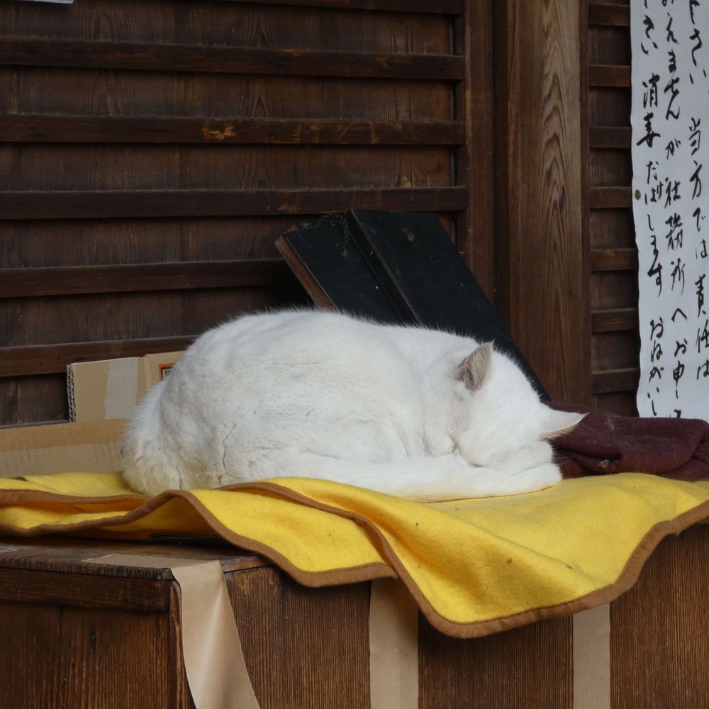maru