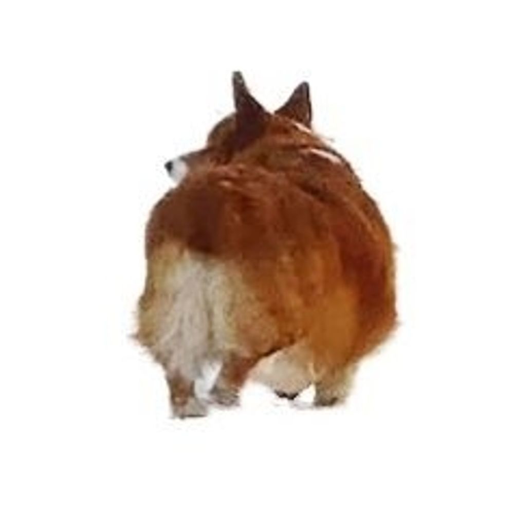 みやこ