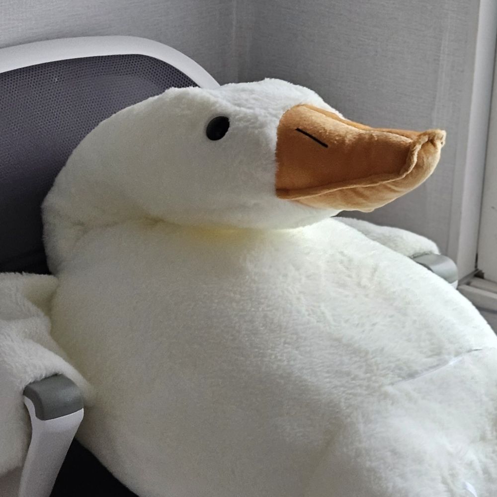 새얀