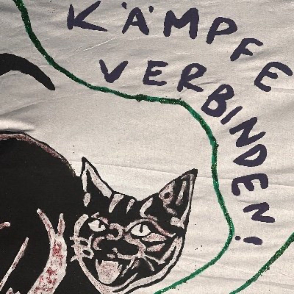 Schwarze Katze