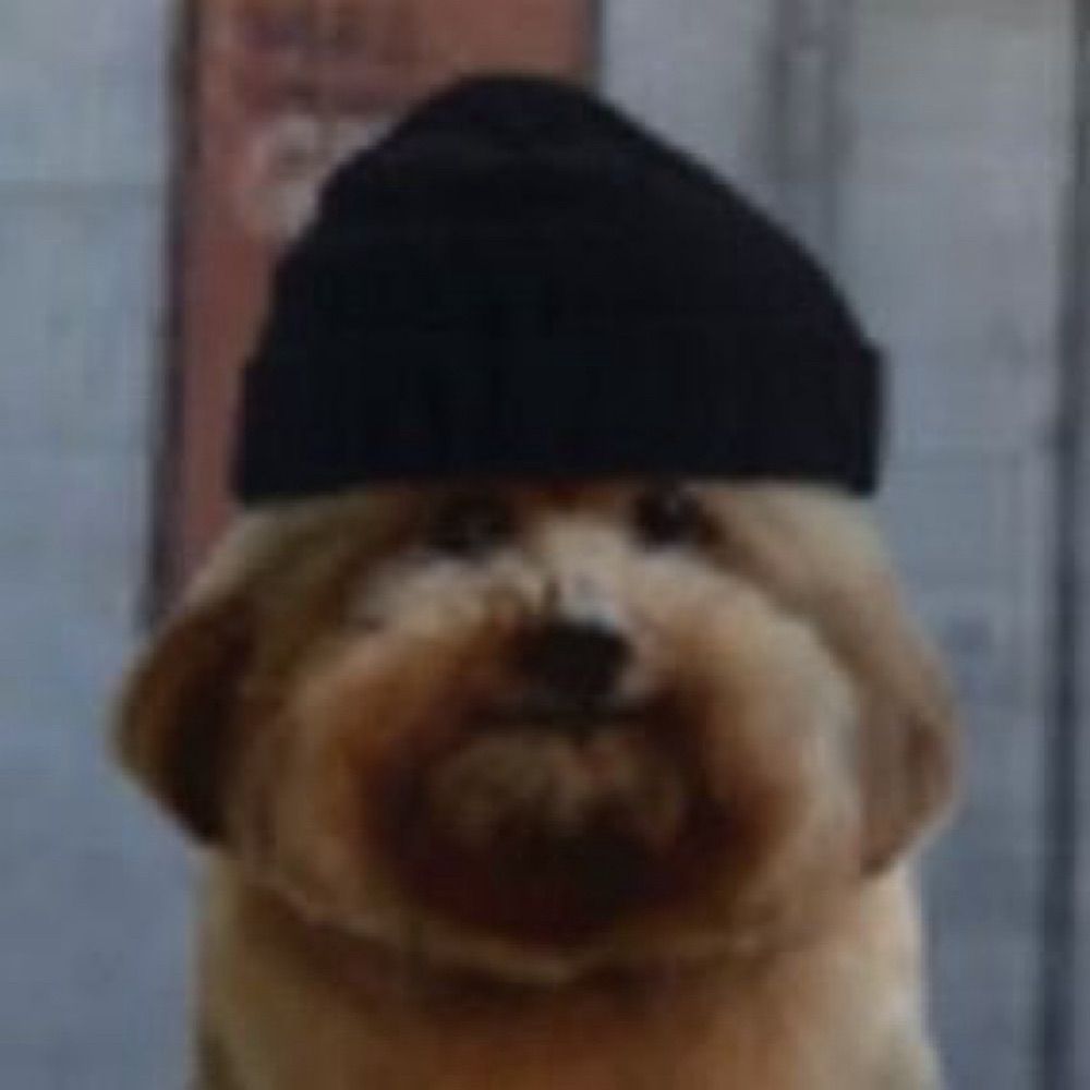 dan