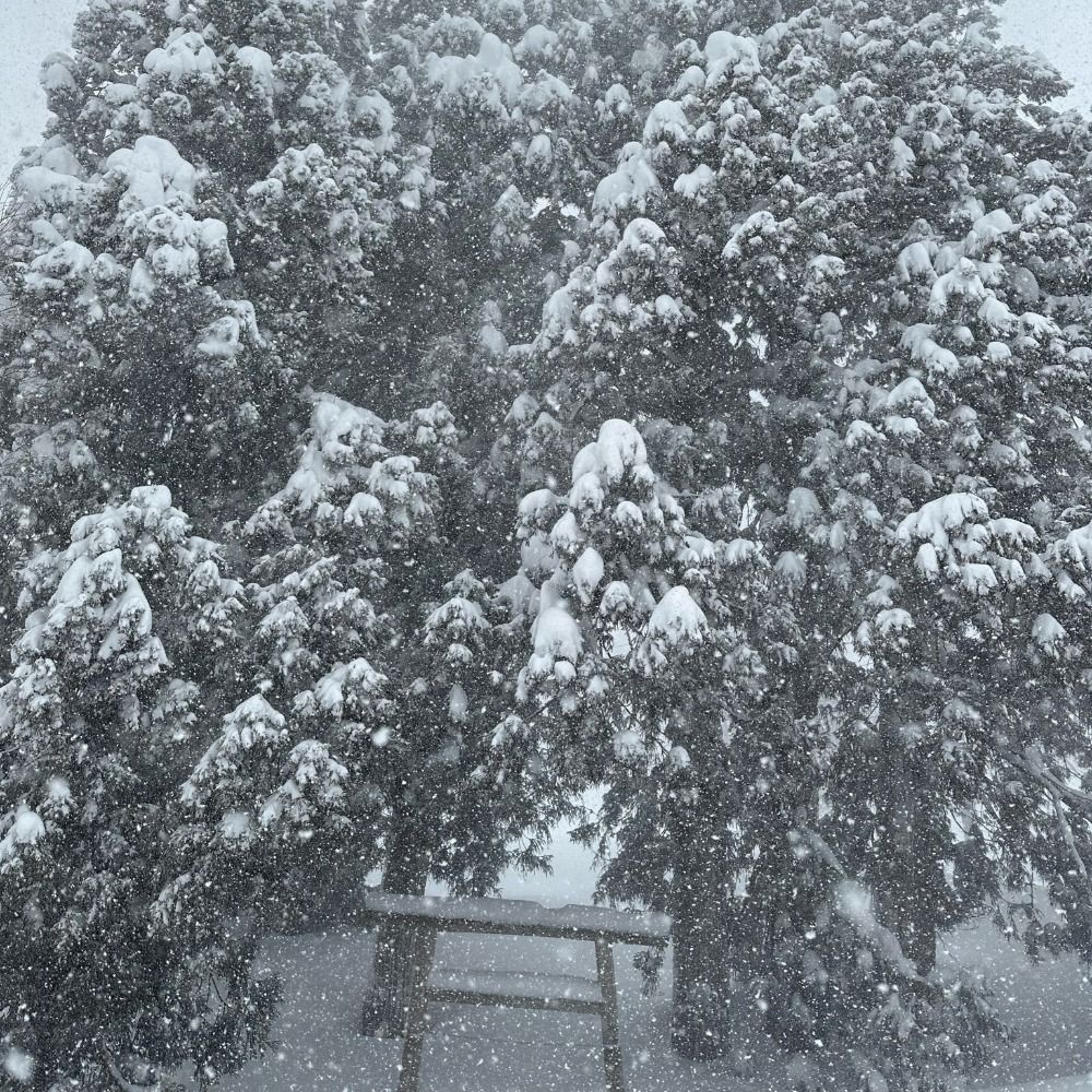 Foreign Winter