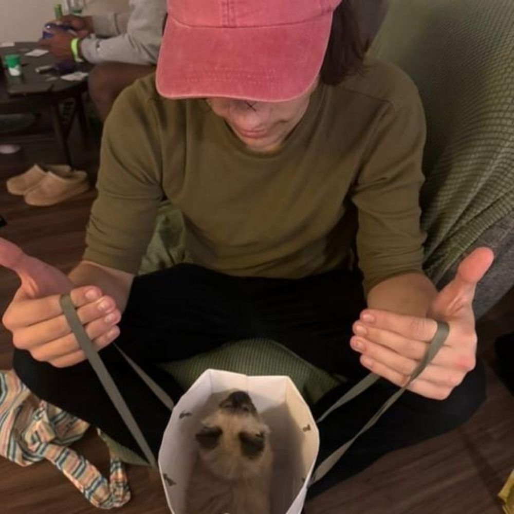 gagedotdidit