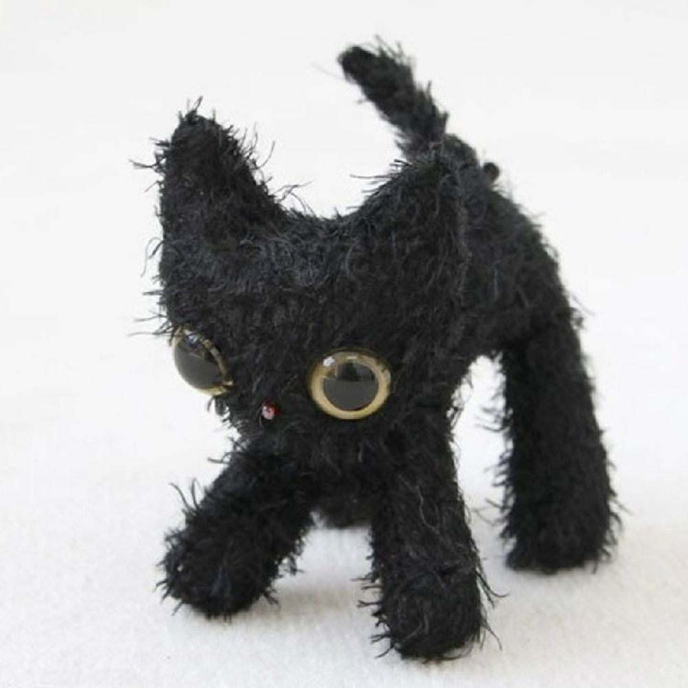 any gatinho preto 
