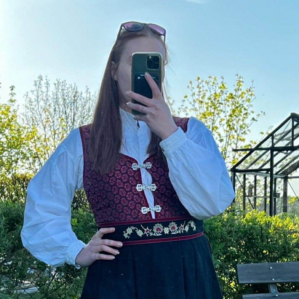 Norske Vilde