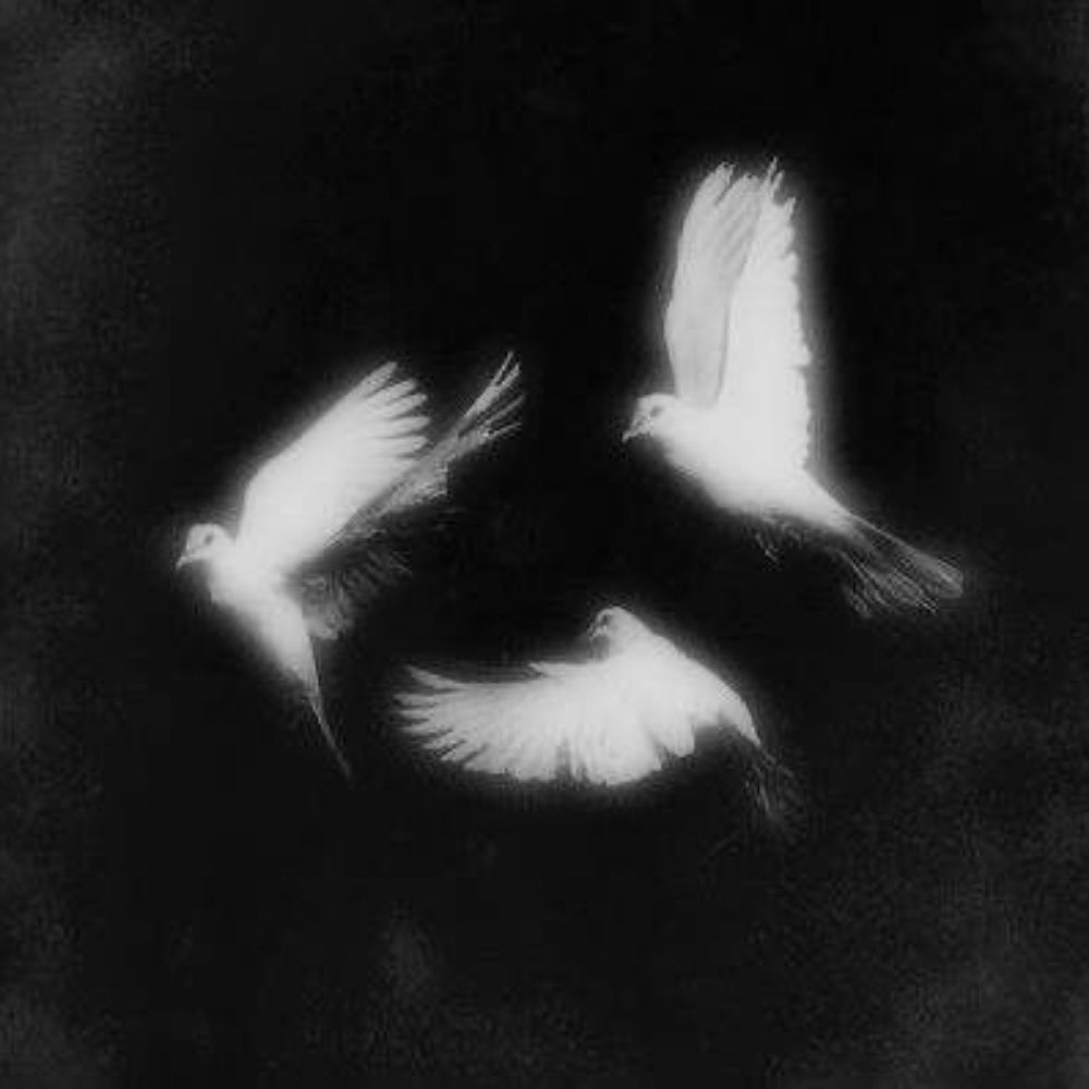 𝑴𝒚𝒓𝒂