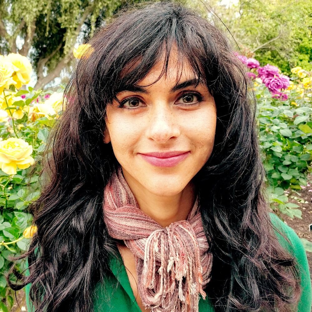 Ari Honarvar