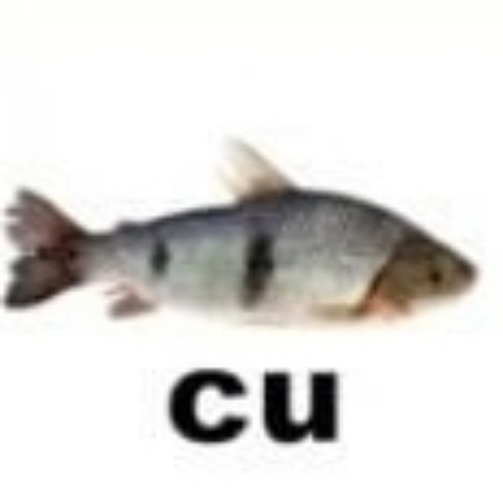 PeixeDoCu