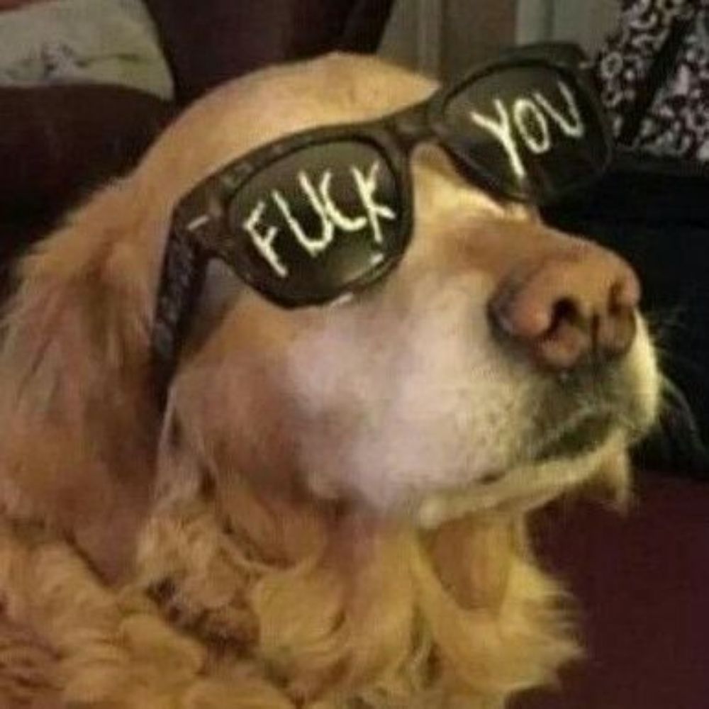 Ty