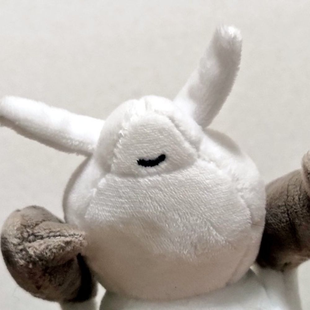 ツチニンにっこりにちようび