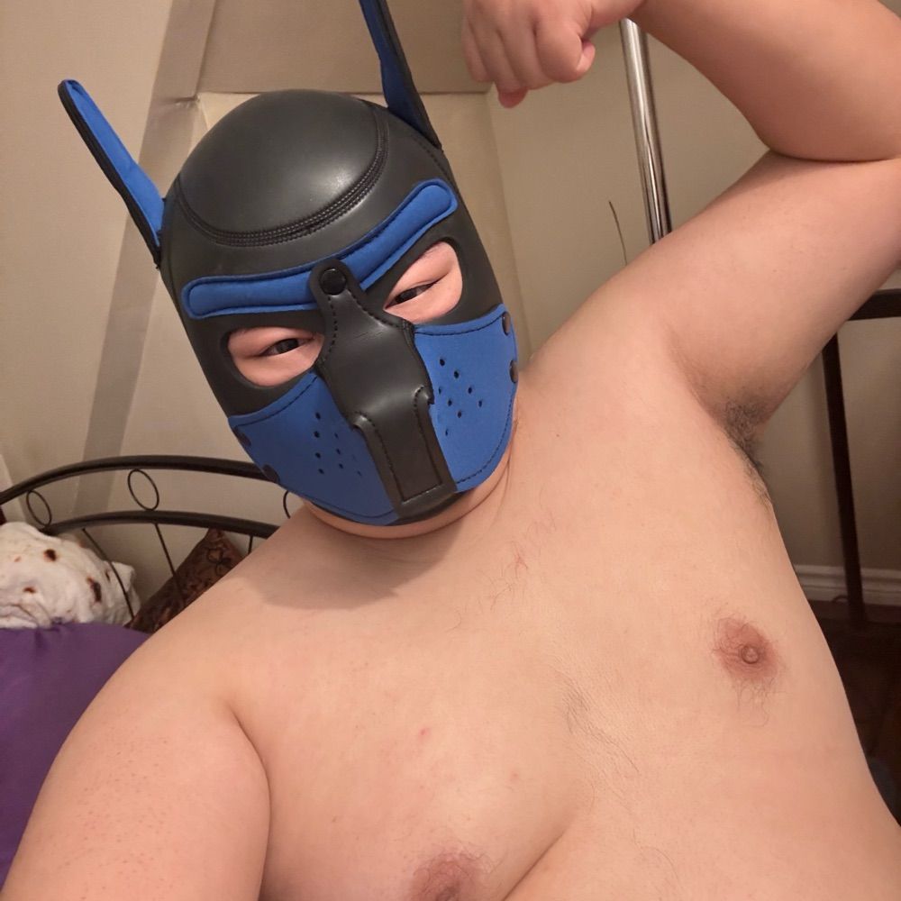 小胖熊猫(デブパンダ) ChubbyPanda