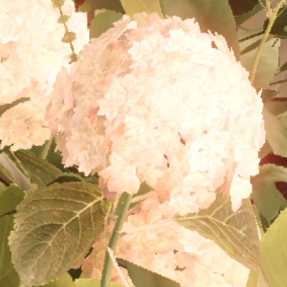 ⋆꒰ঌ·飛鳥·໒꒱⋆