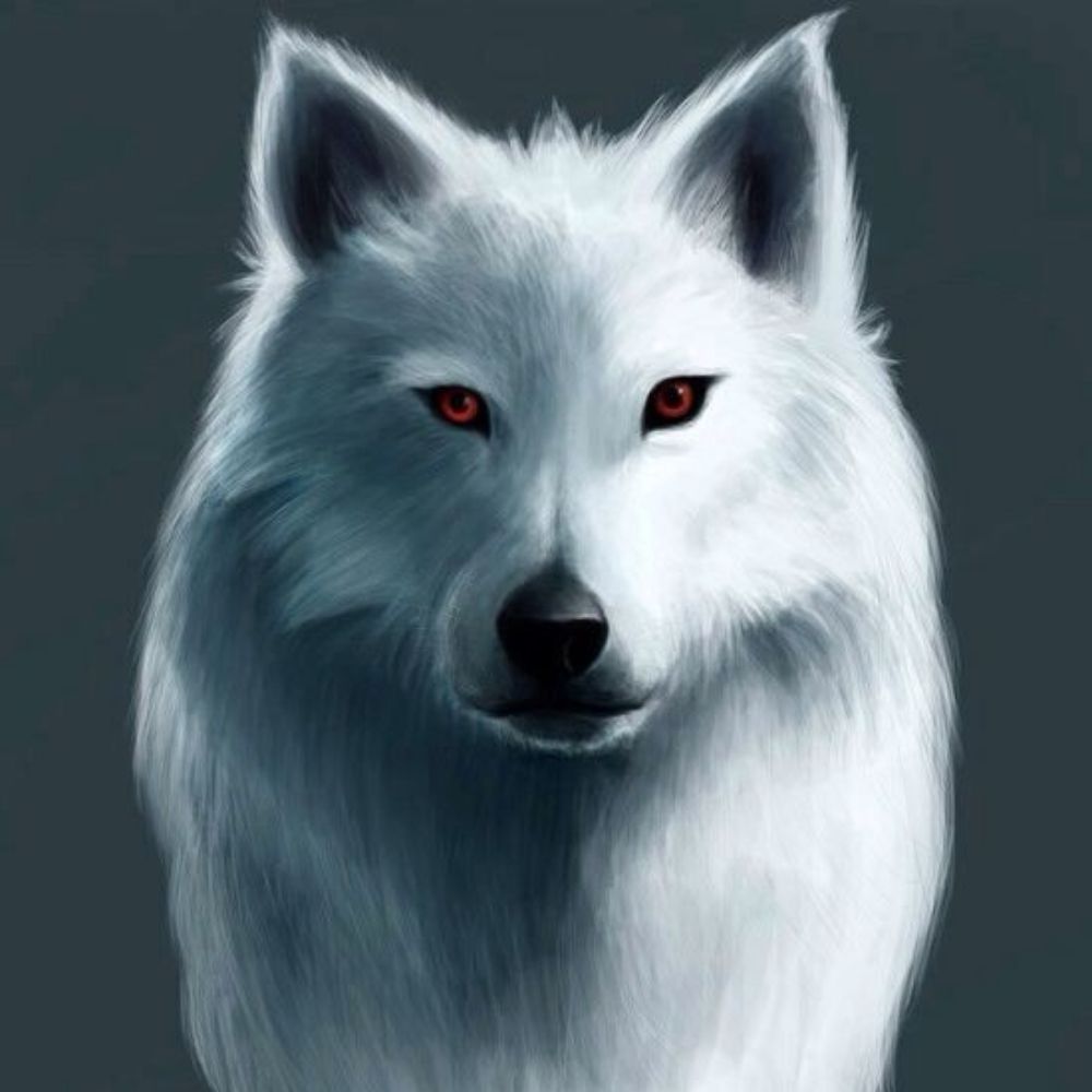 Snow Ghost
