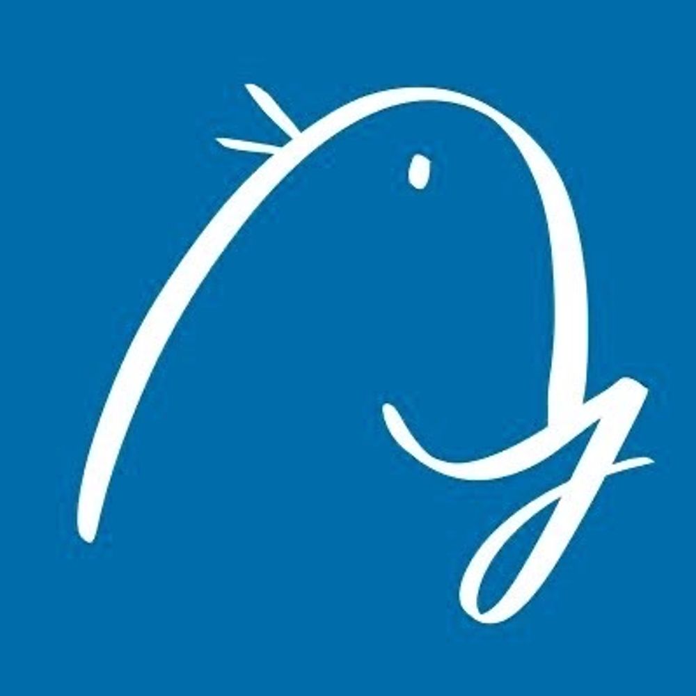 鳥井