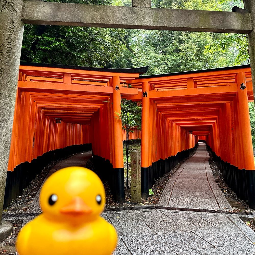 あひるいなり⛩️🐤