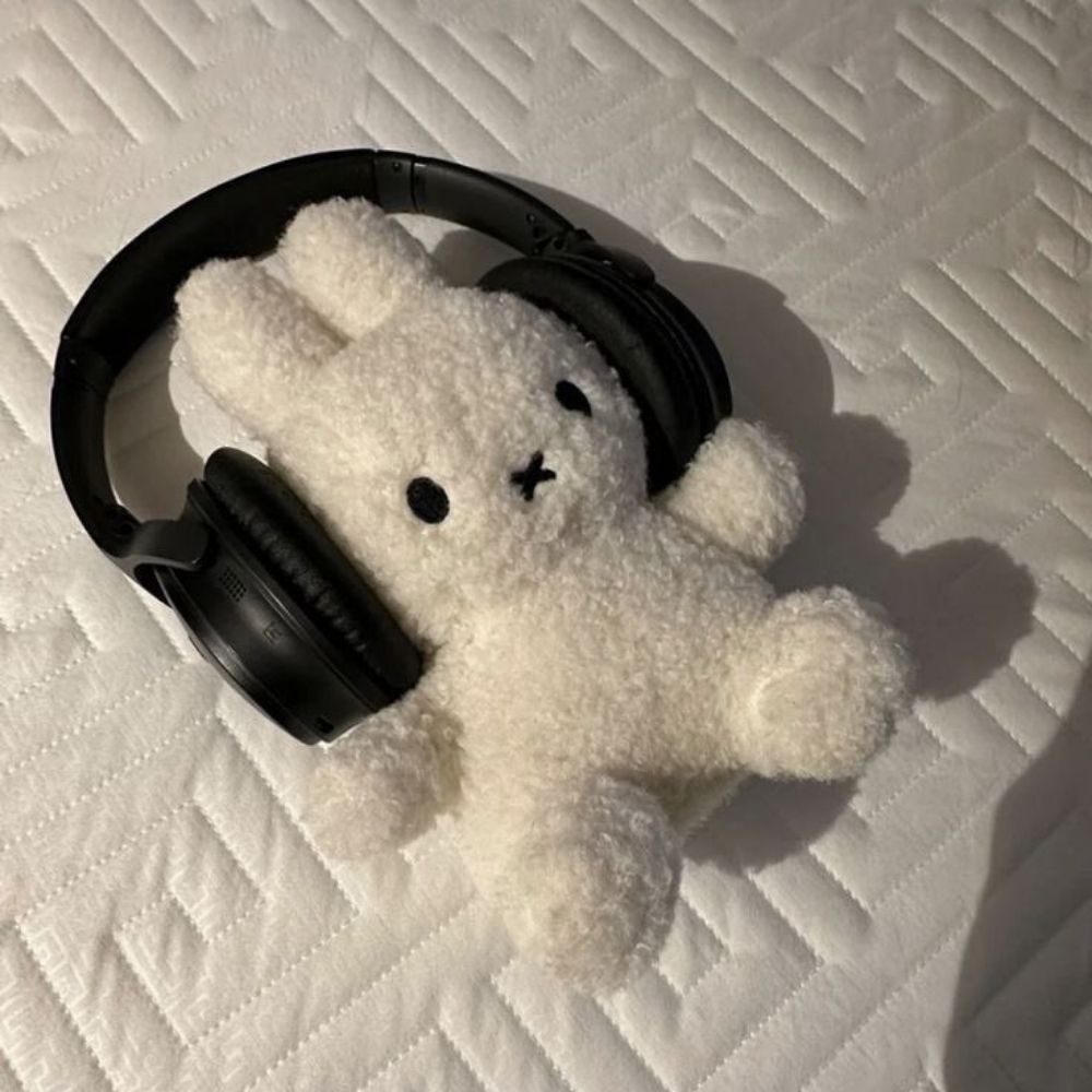  Rode 🎧