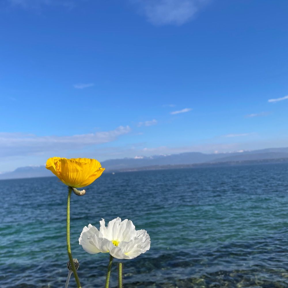 Yarına Doğru