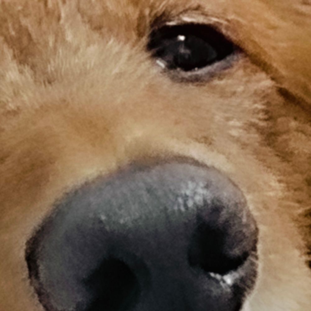 ゆー★