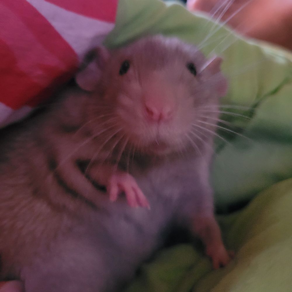 Danny