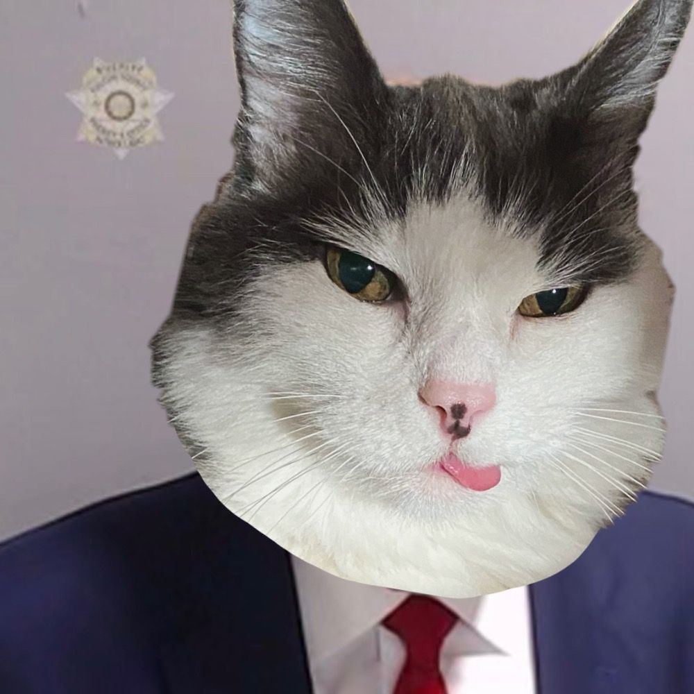 The Stanley Meowski 