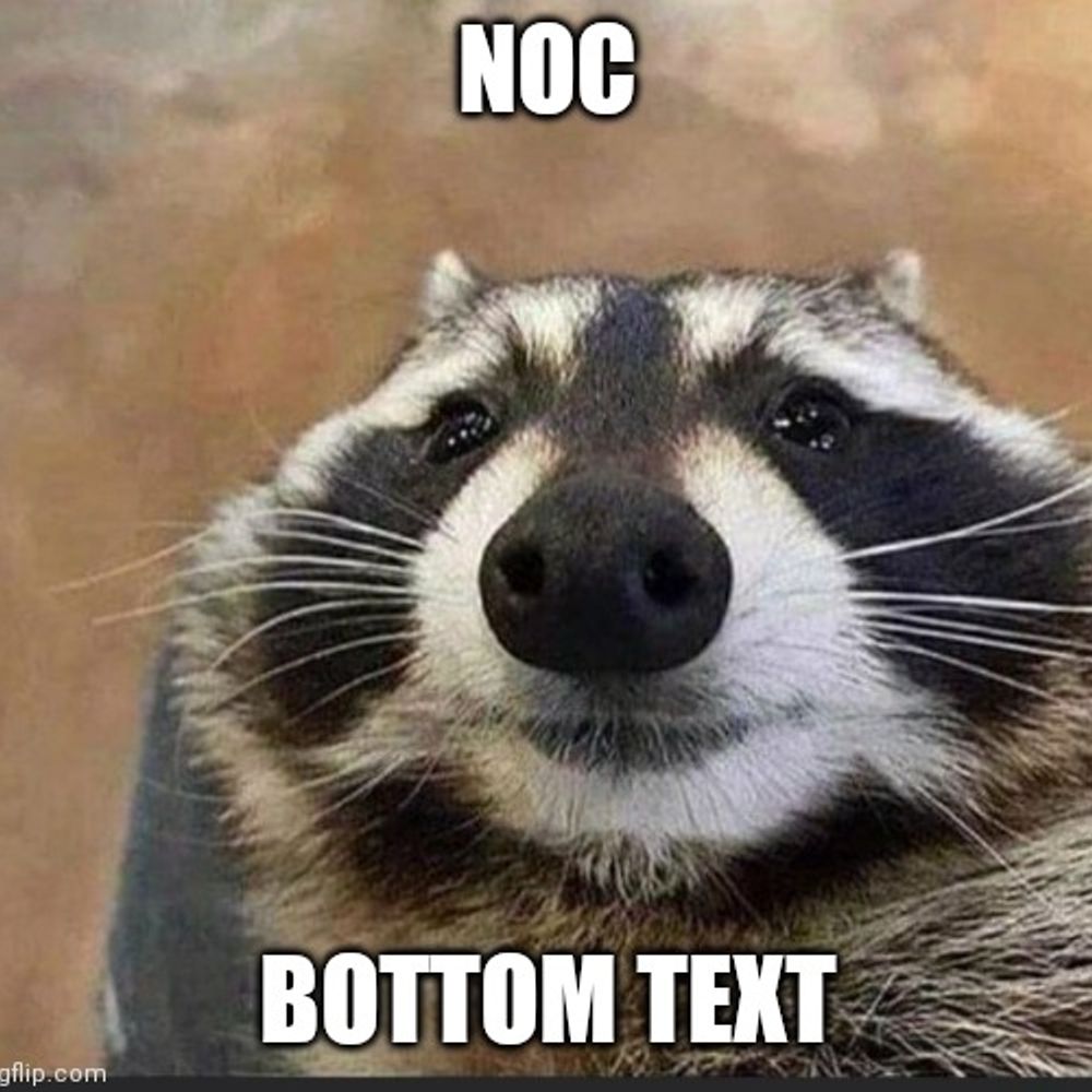 Noc
